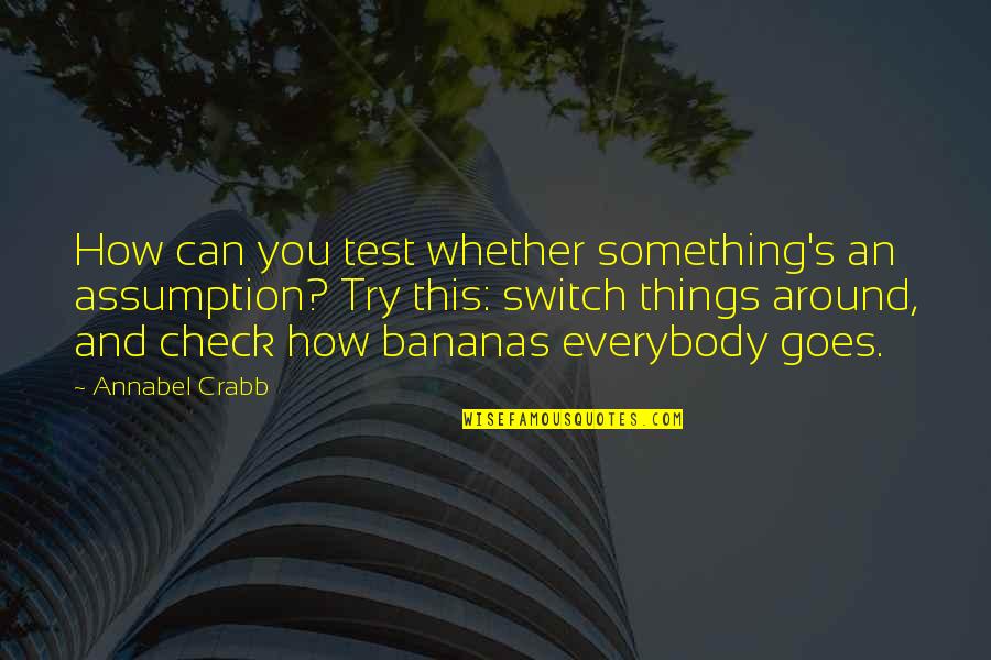 Ayshen Travel Quotes By Annabel Crabb: How can you test whether something's an assumption? Ayshen Travel Quotes By Annabel Crabb: How can you test whether something's an assumption?