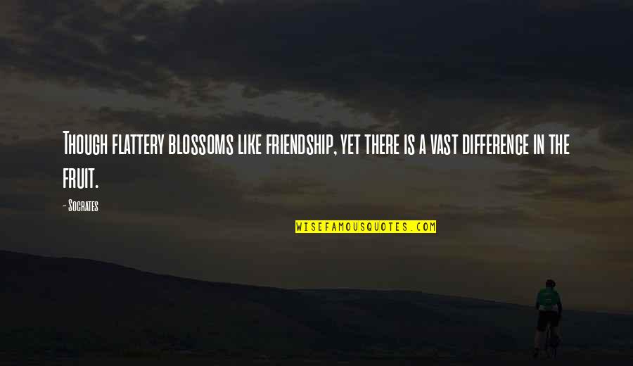Ayudas Para Quotes By Socrates: Though flattery blossoms like friendship, yet there is