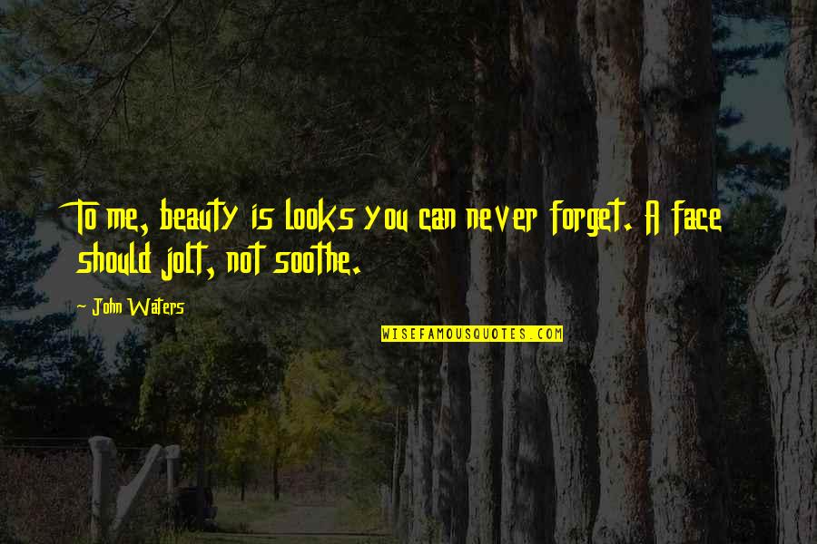 Ayurvedic Quotes By John Waters: To me, beauty is looks you can never