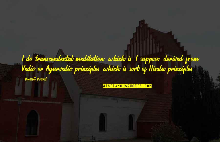 Ayurvedic Quotes By Russell Brand: I do transcendental meditation, which is, I suppose,