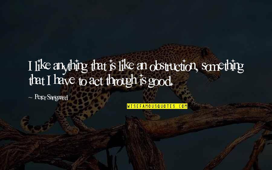 Ayyanar Quotes By Peter Sarsgaard: I like anything that is like an obstruction,