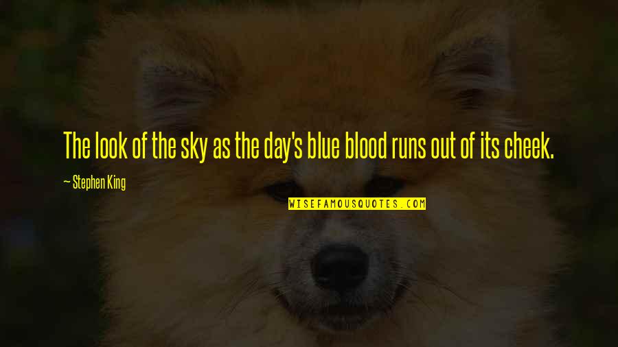 Ayyashi Quotes By Stephen King: The look of the sky as the day's