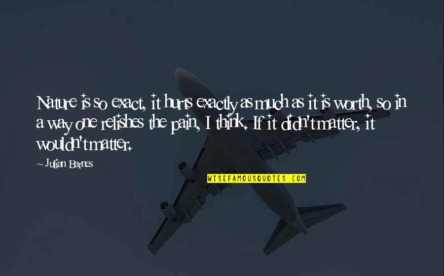 Azarang Pulad Quotes By Julian Barnes: Nature is so exact, it hurts exactly as Azarang Pulad Quotes By Julian Barnes: Nature is so exact, it hurts exactly as