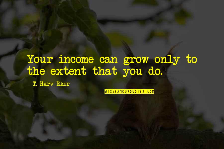 Azlar Costume Quotes By T. Harv Eker: Your income can grow only to the extent