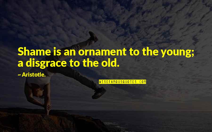 Azlynn Ali Quotes By Aristotle.: Shame is an ornament to the young; a