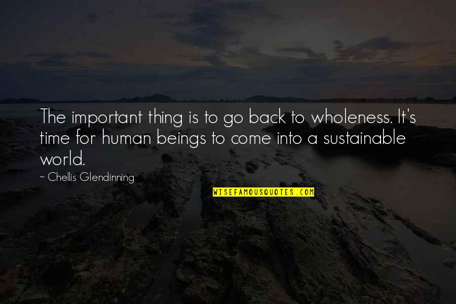 Azofeifa Herediano Quotes By Chellis Glendinning: The important thing is to go back to