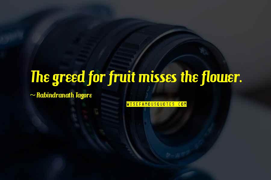 Azzurra Marina Quotes By Rabindranath Tagore: The greed for fruit misses the flower. Azzurra Marina Quotes By Rabindranath Tagore: The greed for fruit misses the flower.
