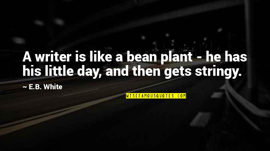 B Day Quotes By E.B. White: A writer is like a bean plant -