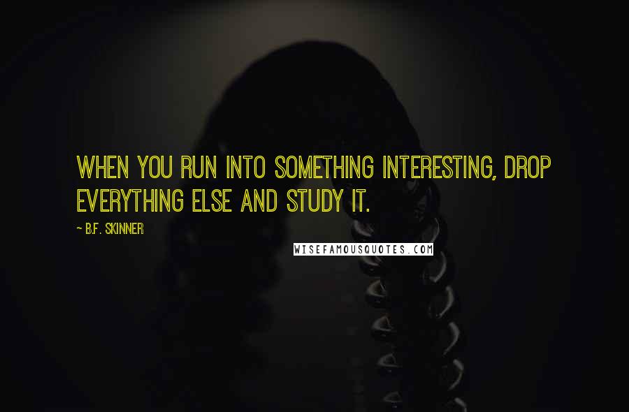 B.F. Skinner quotes: When you run into something interesting, drop everything else and study it.