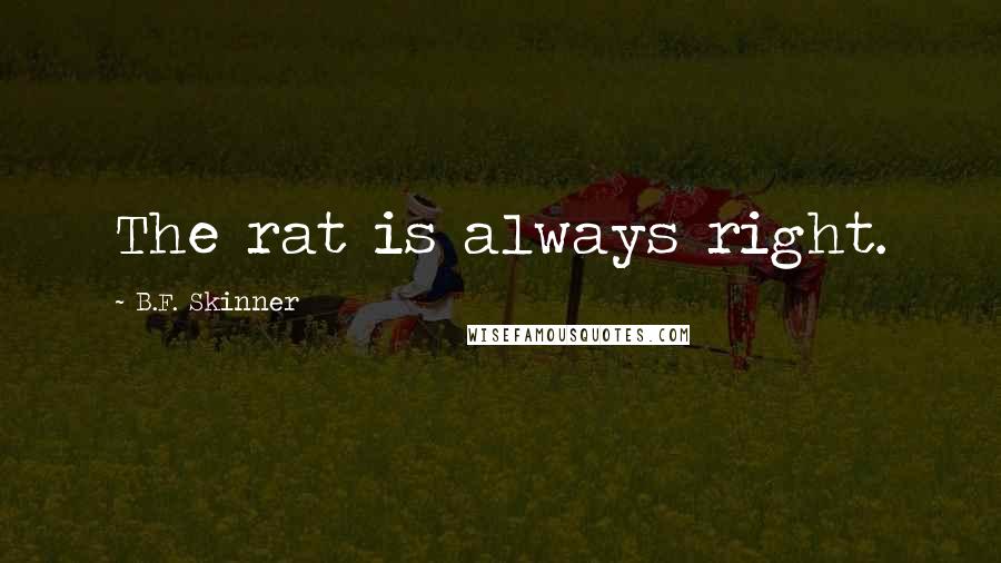 B.F. Skinner quotes: The rat is always right.