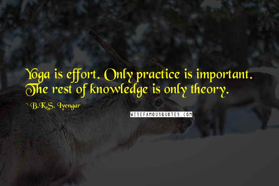 B.K.S. Iyengar quotes: Yoga is effort. Only practice is important. The rest of knowledge is only theory.