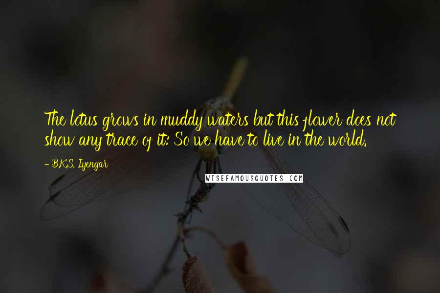 B.K.S. Iyengar quotes: The lotus grows in muddy waters but this flower does not show any trace of it: So we have to live in the world. B.K.S. Iyengar quotes: The lotus grows in muddy waters but this flower does not show any trace of it: So we have to live in the world.