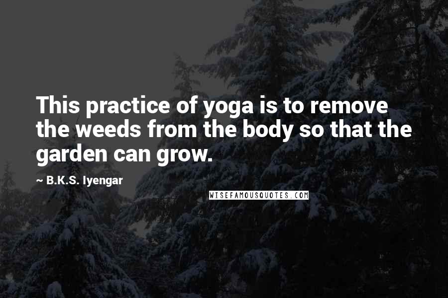 B.K.S. Iyengar quotes: This practice of yoga is to remove the weeds from the body so that the garden can grow.