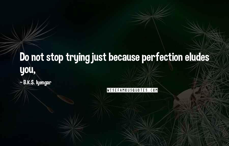 B.K.S. Iyengar quotes: Do not stop trying just because perfection eludes you,