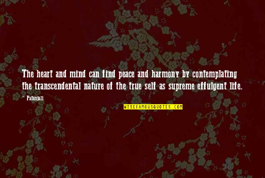 B L K Ne Demek Quotes By Patanjali: The heart and mind can find peace and