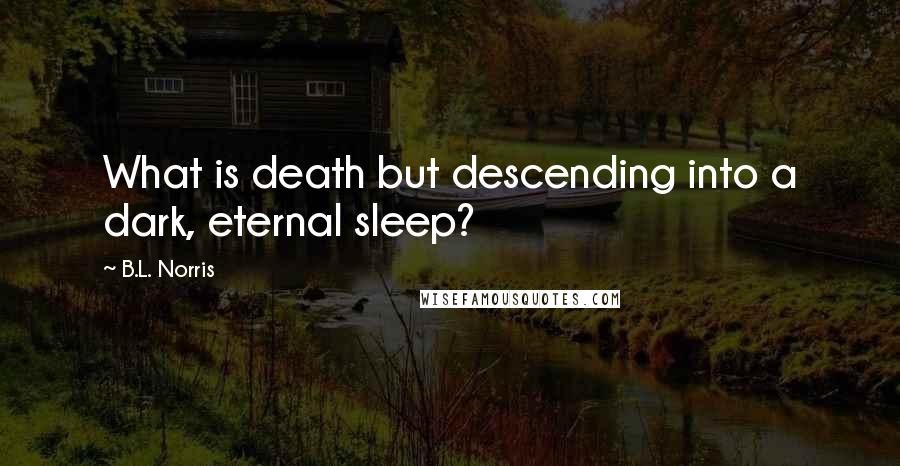 B.L. Norris quotes: What is death but descending into a dark, eternal sleep? B.L. Norris quotes: What is death but descending into a dark, eternal sleep?