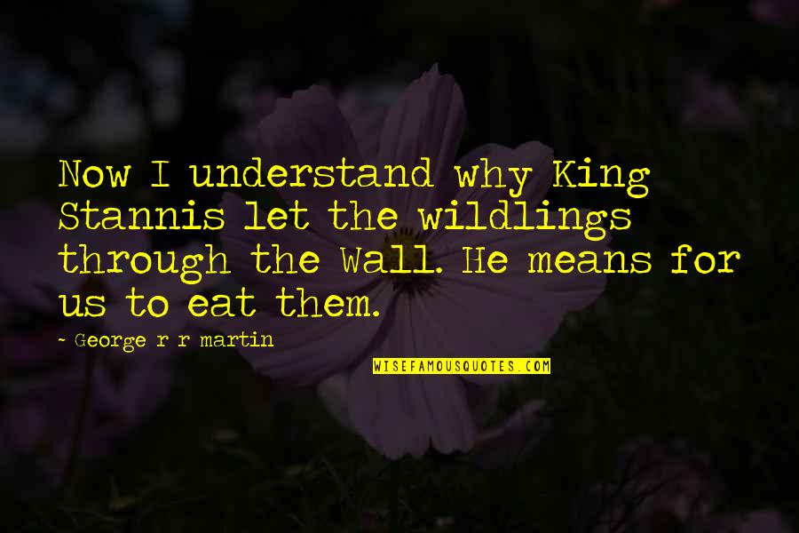 B&m Wall Quotes By George R R Martin: Now I understand why King Stannis let the