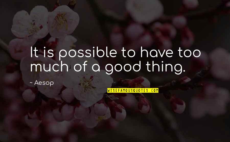 B Nh An Quotes By Aesop: It is possible to have too much of