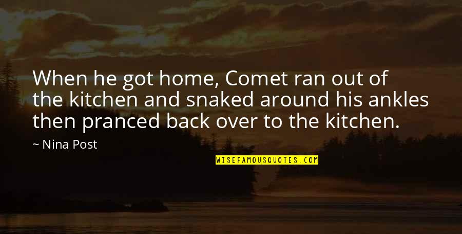 B&q Kitchen Quotes By Nina Post: When he got home, Comet ran out of