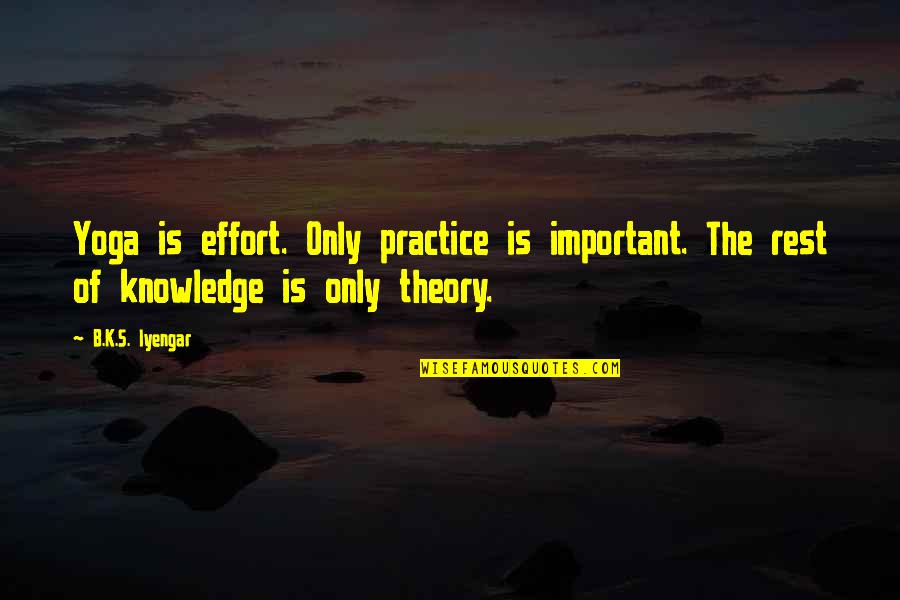 B.s Quotes By B.K.S. Iyengar: Yoga is effort. Only practice is important. The