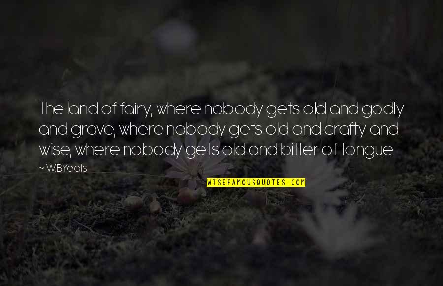 B&w Quotes By W.B.Yeats: The land of fairy, where nobody gets old