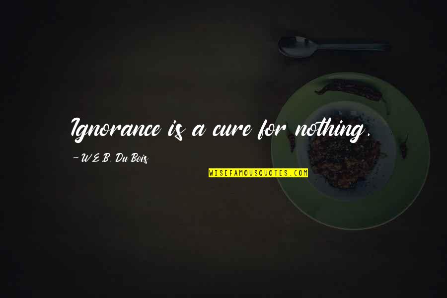 B&w Quotes By W.E.B. Du Bois: Ignorance is a cure for nothing.