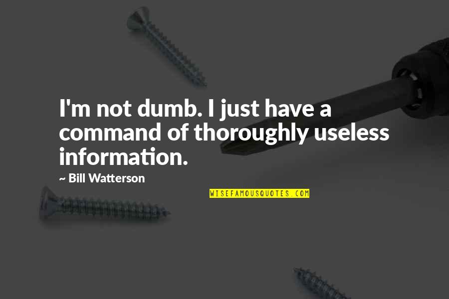 B Watterson Quotes By Bill Watterson: I'm not dumb. I just have a command
