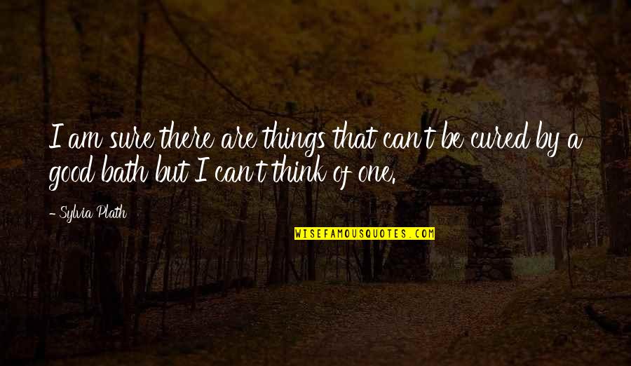 B1000 Wire Quotes By Sylvia Plath: I am sure there are things that can't