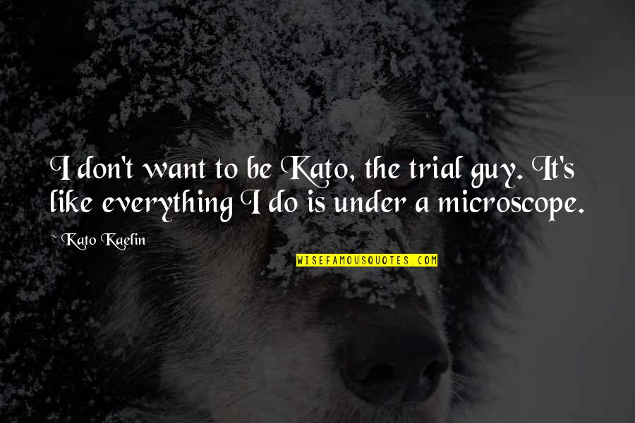 B45 Quotes By Kato Kaelin: I don't want to be Kato, the trial