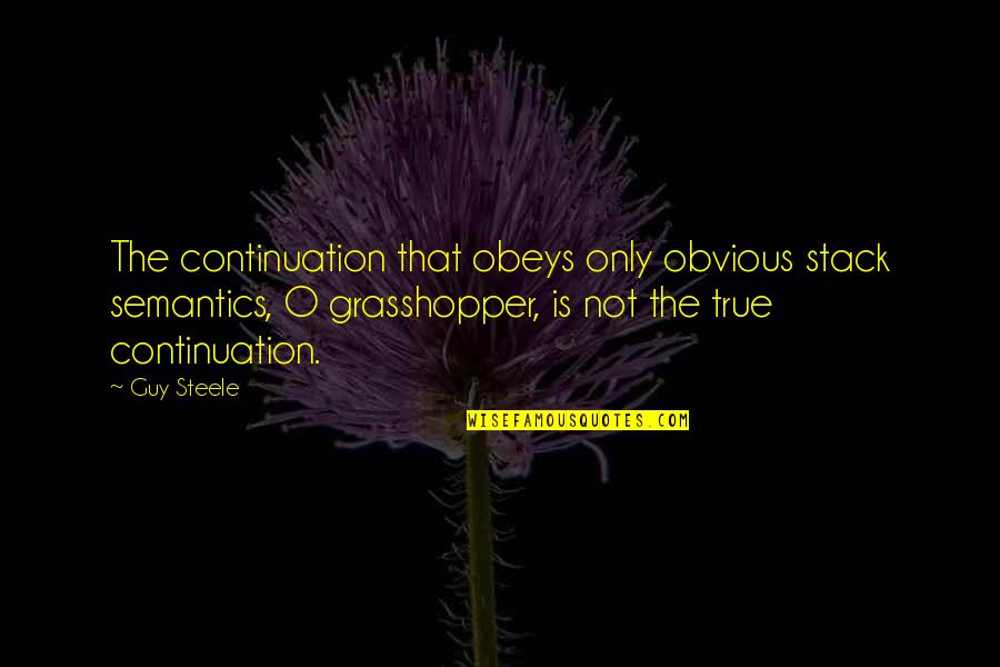 B5 Zathras Quotes By Guy Steele: The continuation that obeys only obvious stack semantics,