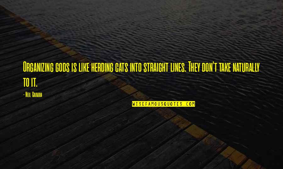 Baagilanu Teredu Quotes By Neil Gaiman: Organizing gods is like herding cats into straight