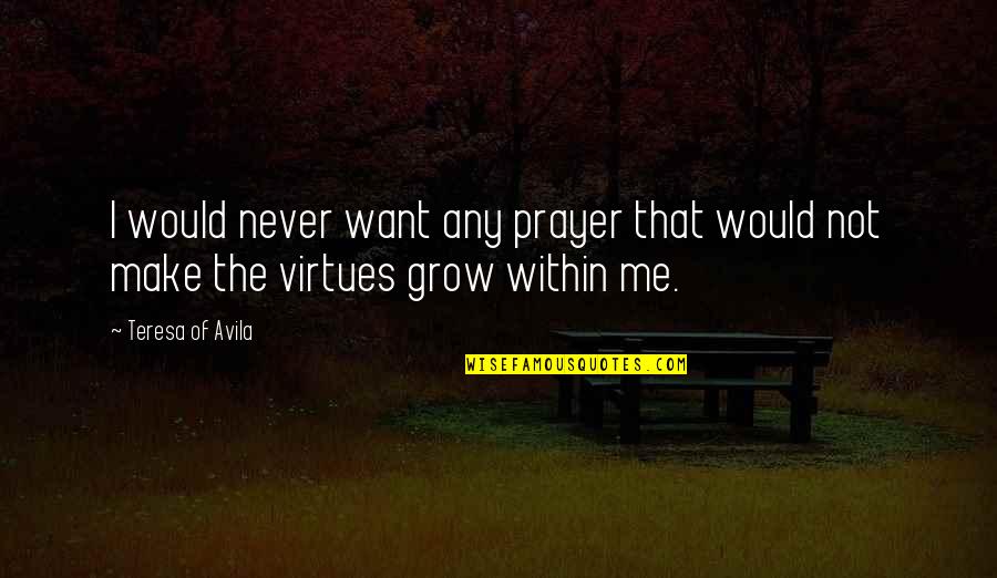 Baaing Sheep Quotes By Teresa Of Avila: I would never want any prayer that would