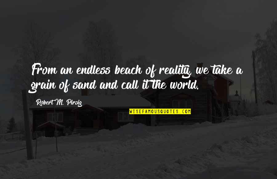 Baale Quotes By Robert M. Pirsig: From an endless beach of reality, we take