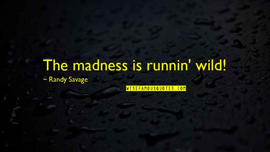 Baarlo Quotes By Randy Savage: The madness is runnin' wild!