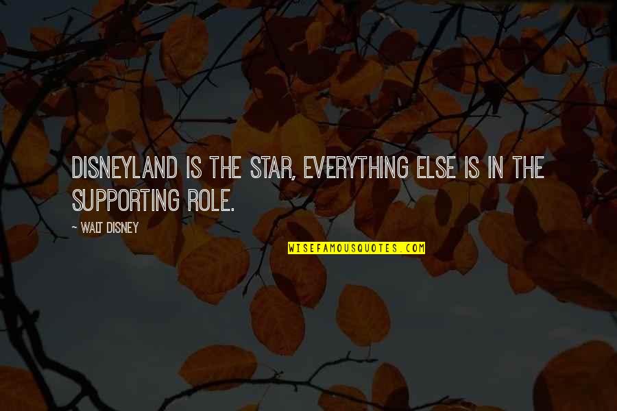 Baba Tahir Quotes By Walt Disney: Disneyland is the star, everything else is in