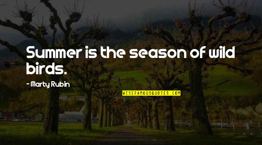 Babaeng Palaban Quotes By Marty Rubin: Summer is the season of wild birds.