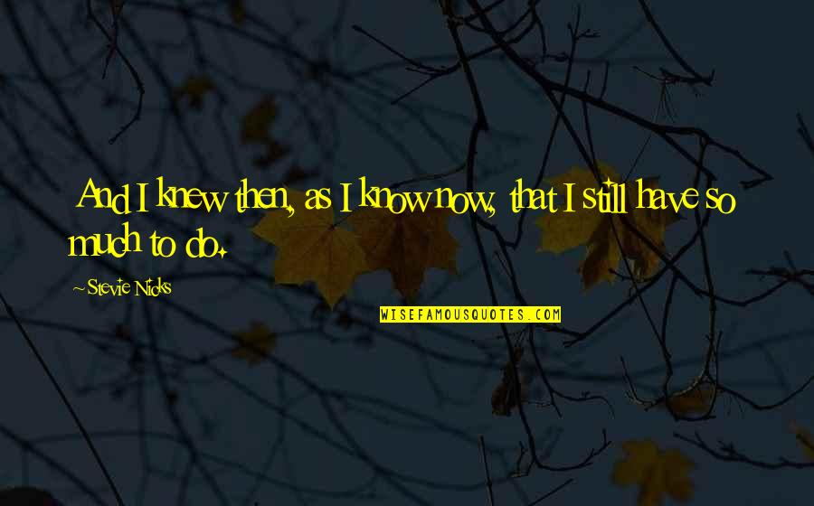 Babaji Vidhyashram Quotes By Stevie Nicks: And I knew then, as I know now,