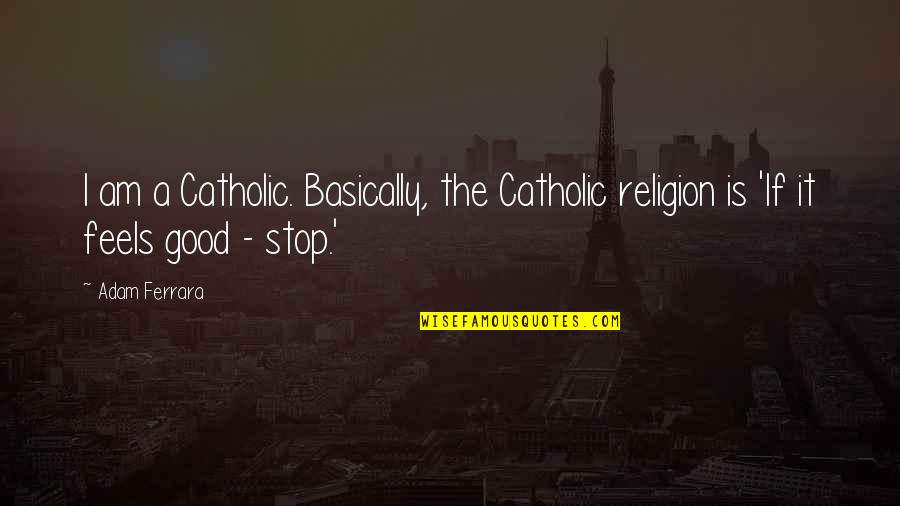 Babajide Sanwo Quotes By Adam Ferrara: I am a Catholic. Basically, the Catholic religion