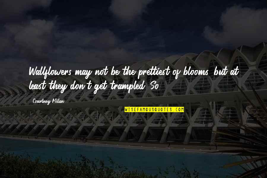 Babalu Jackson Quotes By Courtney Milan: Wallflowers may not be the prettiest of blooms,