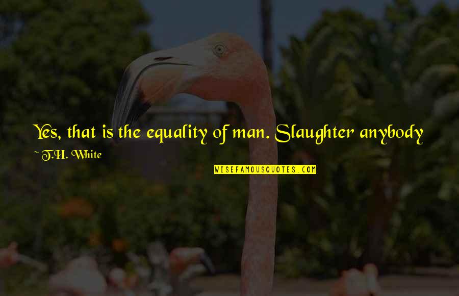 Babar The Elephant Quotes By T.H. White: Yes, that is the equality of man. Slaughter Babar The Elephant Quotes By T.H. White: Yes, that is the equality of man. Slaughter