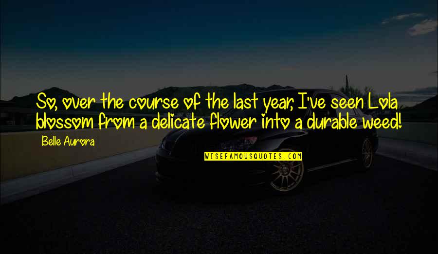 Babbages Games Quotes By Belle Aurora: So, over the course of the last year,