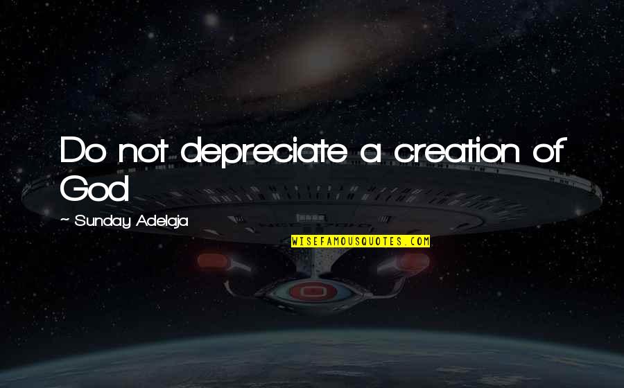 Babbitts Quotes By Sunday Adelaja: Do not depreciate a creation of God