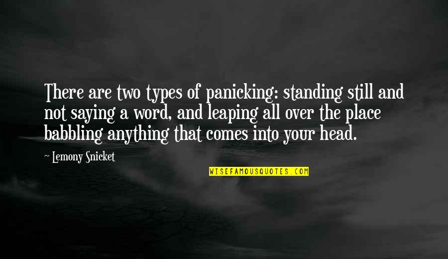 Babbling Quotes By Lemony Snicket: There are two types of panicking: standing still