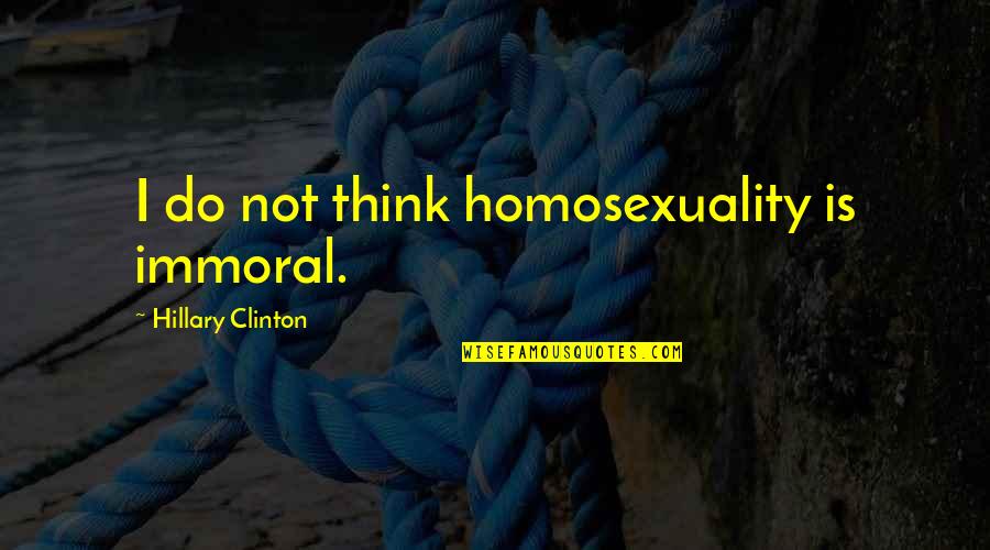 Babiarz Park Quotes By Hillary Clinton: I do not think homosexuality is immoral.