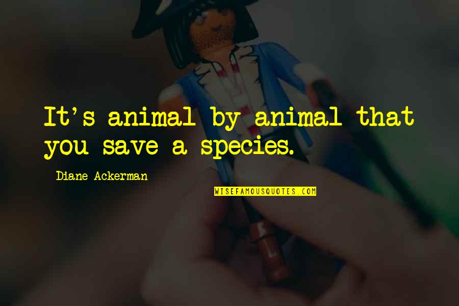 Babicz Identity Quotes By Diane Ackerman: It's animal by animal that you save a