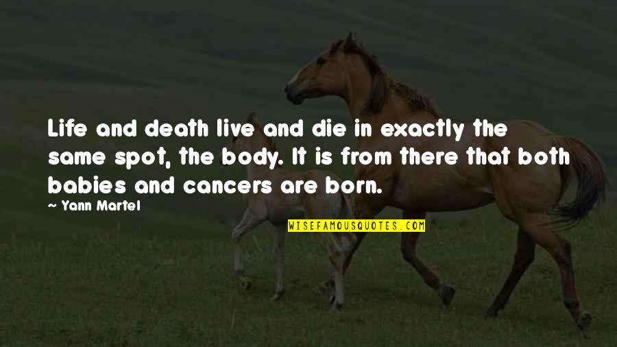 Babies Death Quotes By Yann Martel: Life and death live and die in exactly