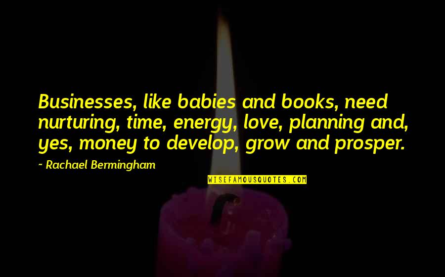 Babies Development Quotes By Rachael Bermingham: Businesses, like babies and books, need nurturing, time,