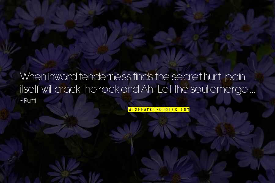 Babikian Md Quotes By Rumi: When inward tenderness finds the secret hurt, pain Babikian Md Quotes By Rumi: When inward tenderness finds the secret hurt, pain