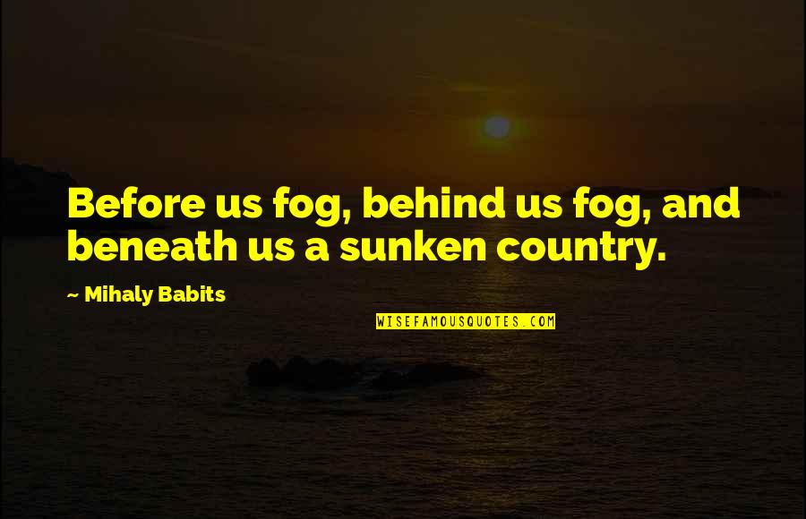 Babits Quotes By Mihaly Babits: Before us fog, behind us fog, and beneath
