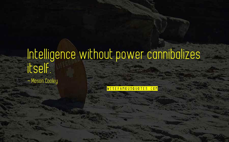 Babiya Divi Quotes By Mason Cooley: Intelligence without power cannibalizes itself.